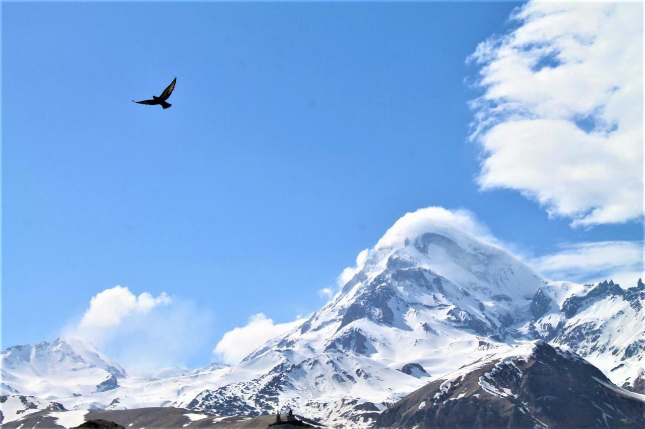 Hotel Noa Kazbegi Eksteriør billede